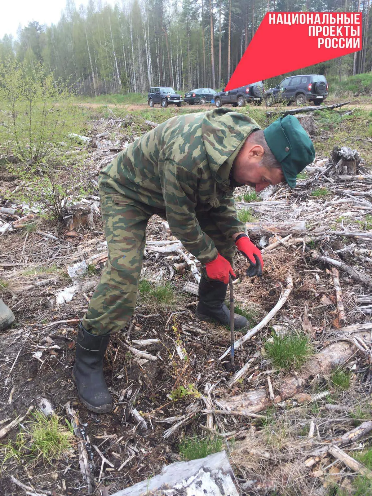 22.05.2026 года работники ГОКУ «Маловишерское лесничество» приняли участие в Международ...