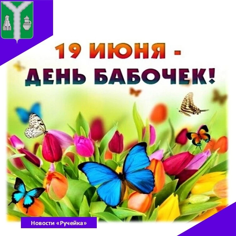 #рубрика_новостиРучейка

🦋 19 июня – день, когда мир расцветает яркими крыльями, ведь именно сегодн