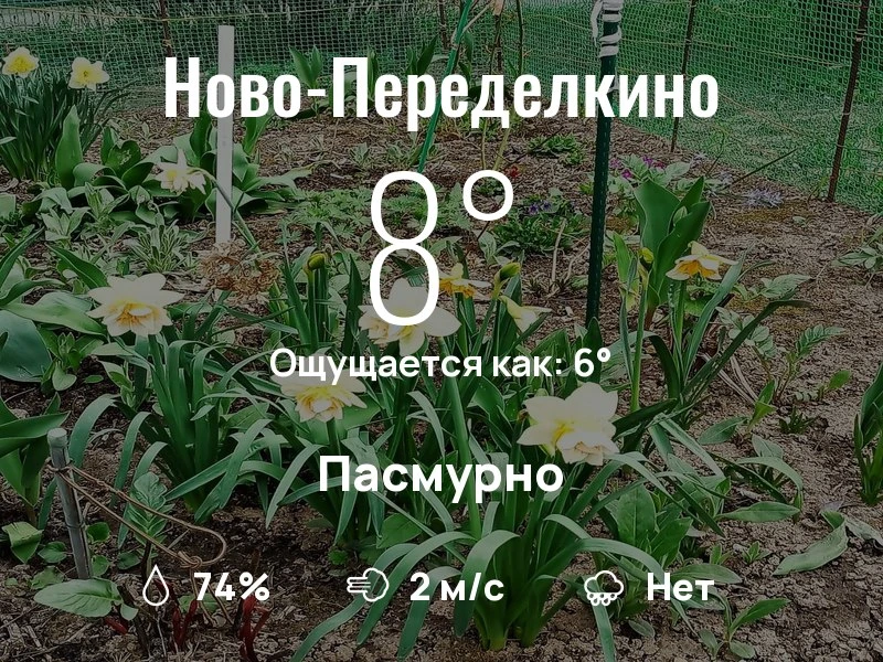 Что с погодой в Ново-Переделкино?