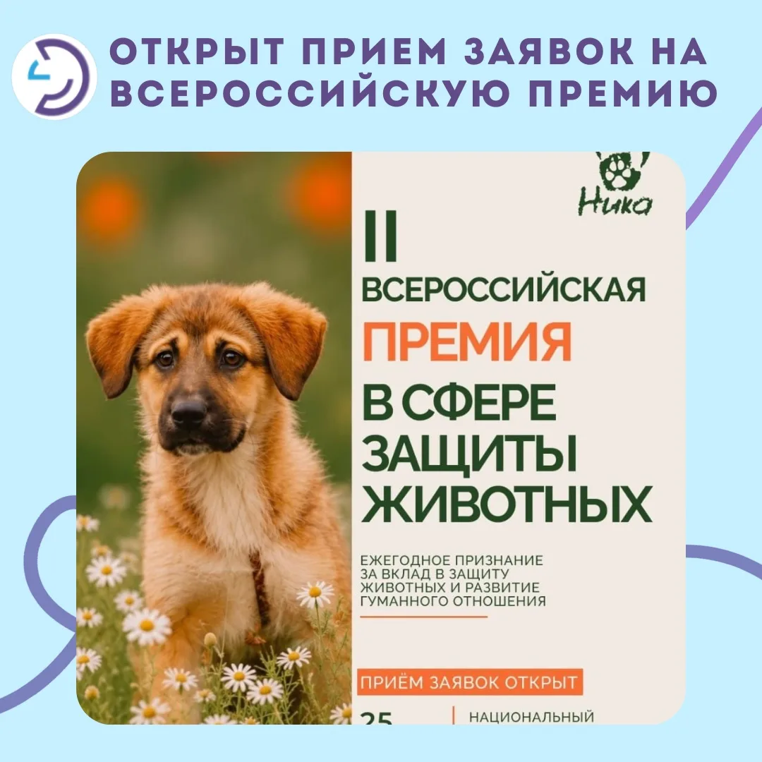 🔔Открыт прием заявок на Всероссийскую премию ответственного отношения к животным
