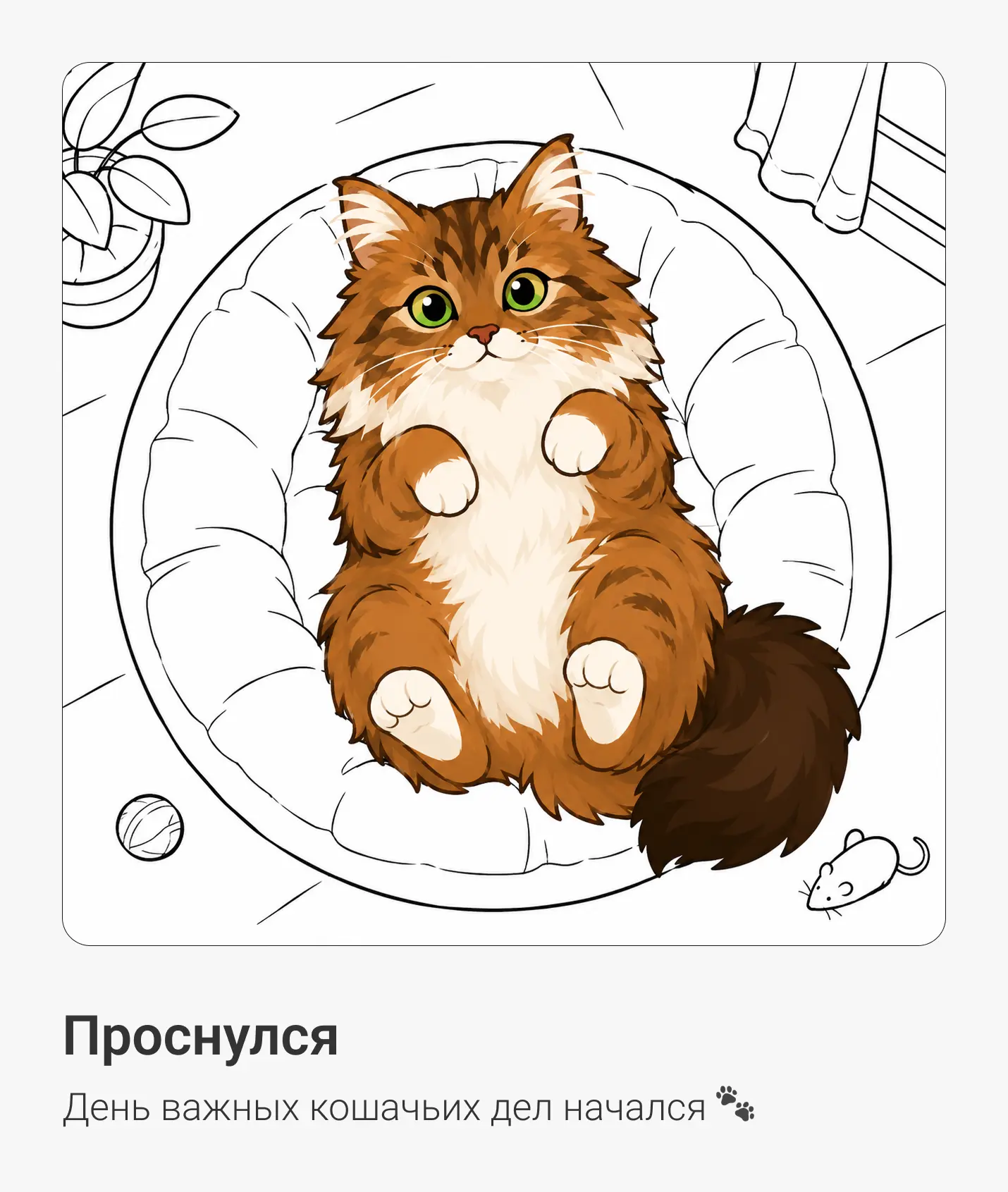 Один день из жизни котика 🐾