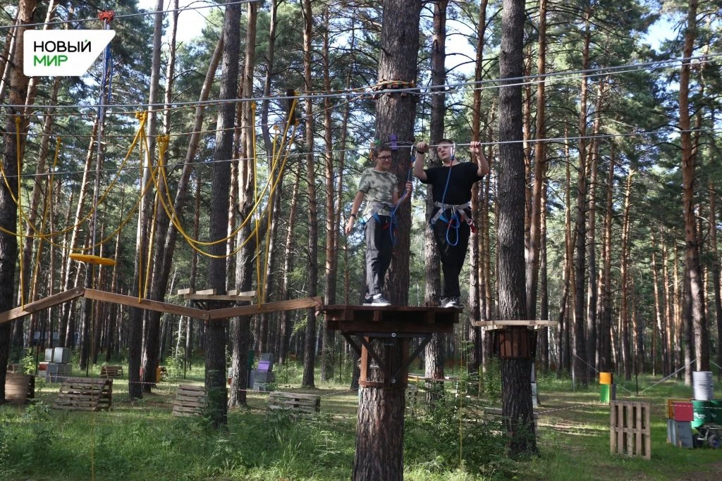 🌿 Курганцам рассказали, как можно помочь экологии и сохранить чистый воздух