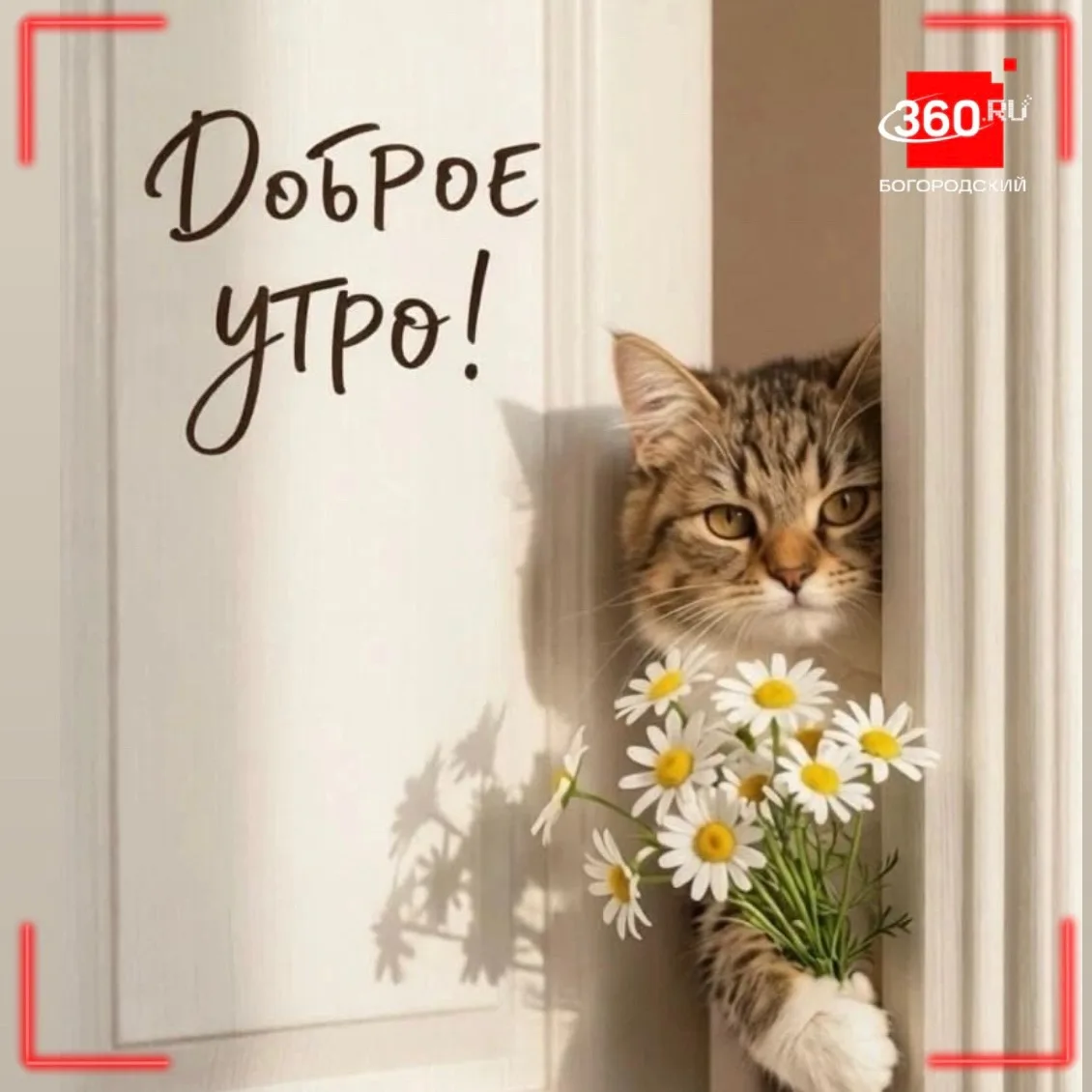 Доброе утро, Богородский!🌞