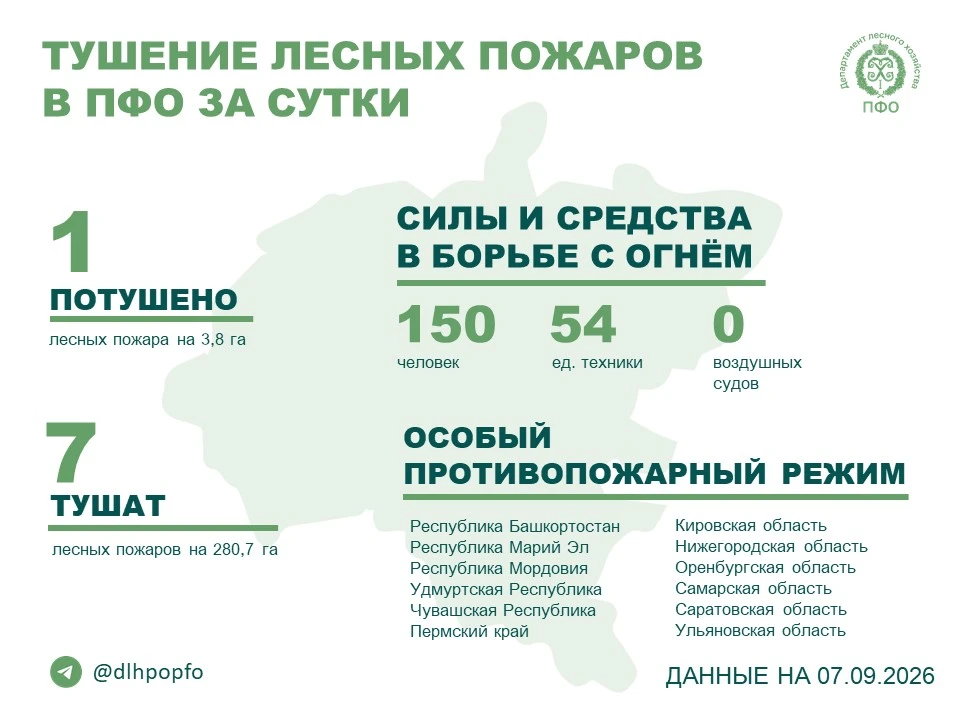🔥 За прошедшие сутки в регионах ПФО потушен 1 лесной пожар, продолжается тушение 7 лес...