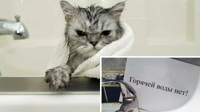 Почему нет горячей воды?🌊🛁  Специалисты нашей Центральной аварийно-диспетчерской службы  получают ог