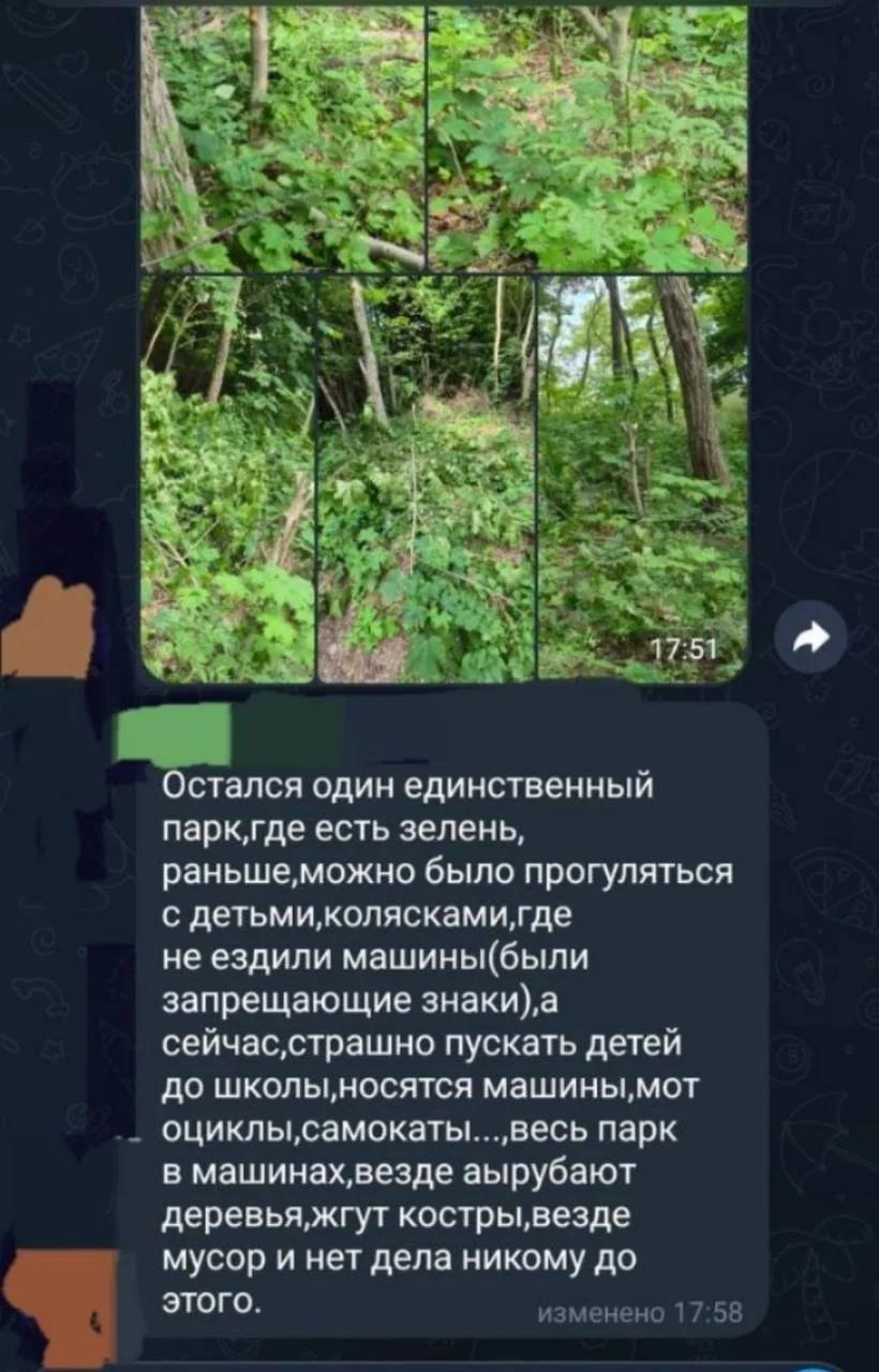 Пгт. Янтарный: ситуация со спуском к морю в лесной зоне вызывает тревогу.

Спуск к морю в парковой з