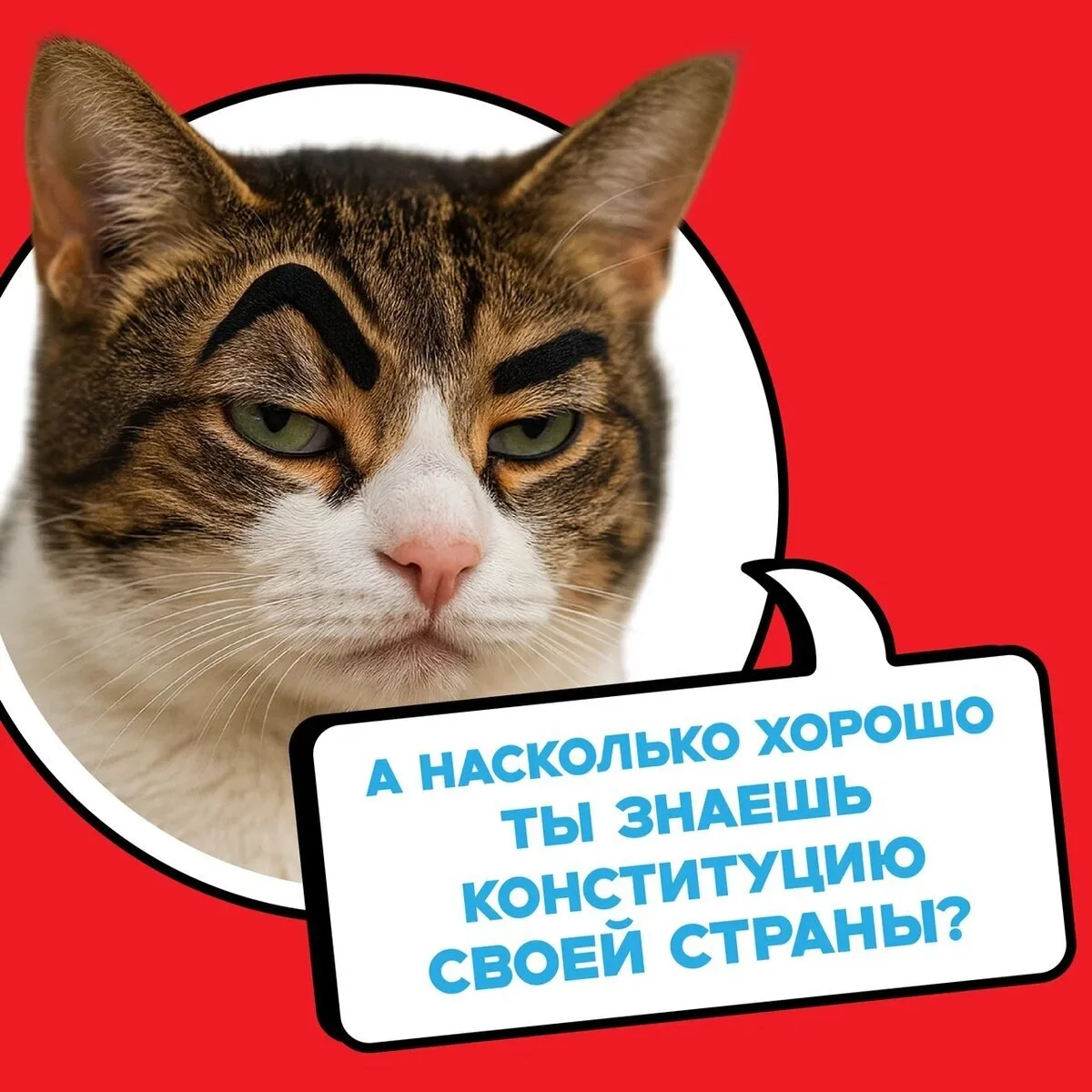 🙋‍♀️ 12 декабря пройдёт Всероссийский тест на знание Конституции РФ.