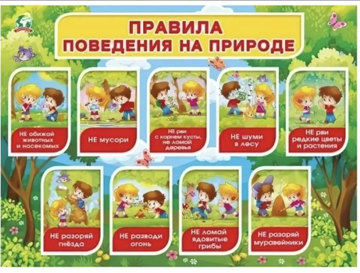Отдых в лесах и лесопарках составляет важную часть активного образа жизни и воспитания ...