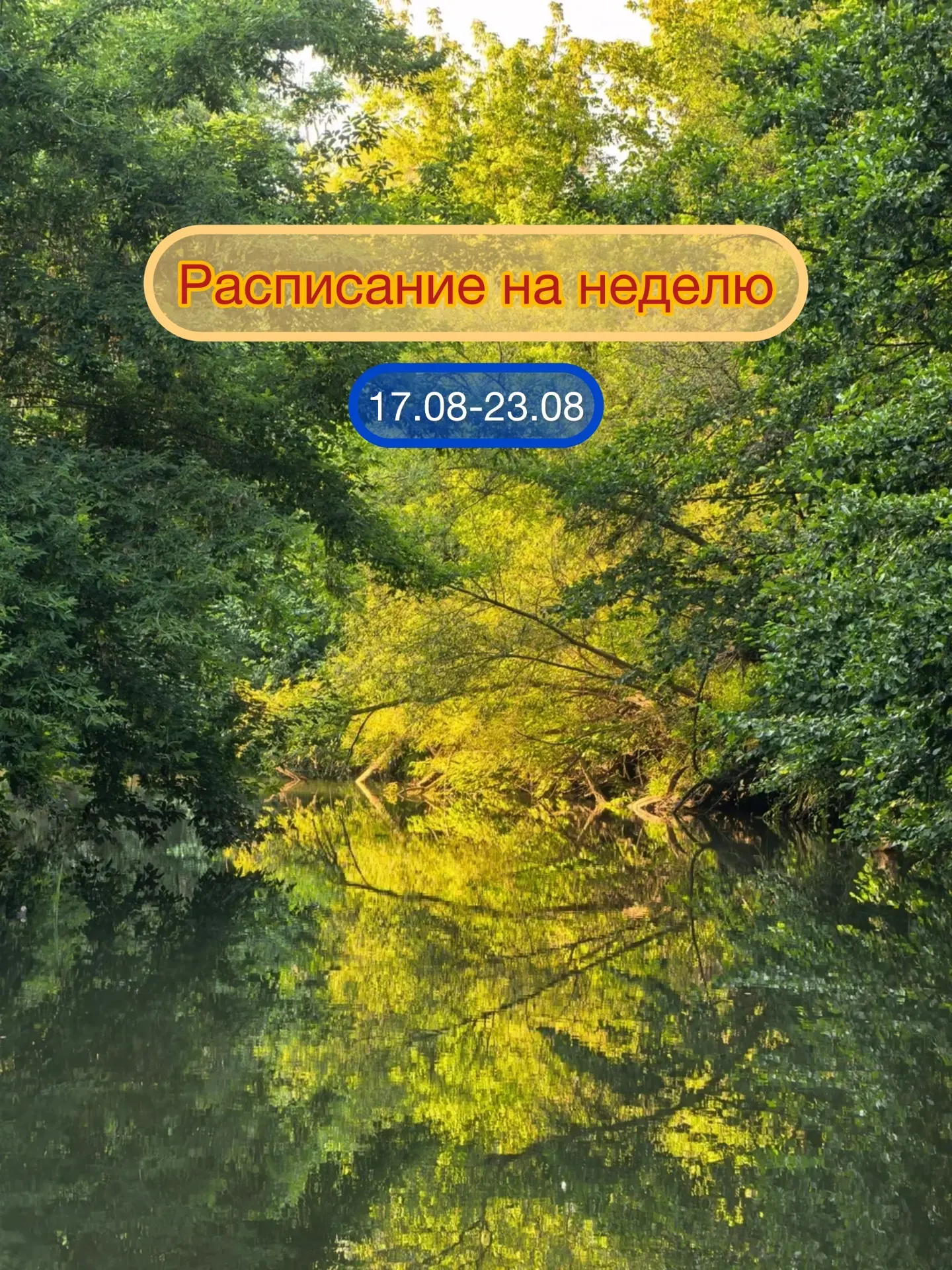 Расписание на неделю 17.08-23.08🏄