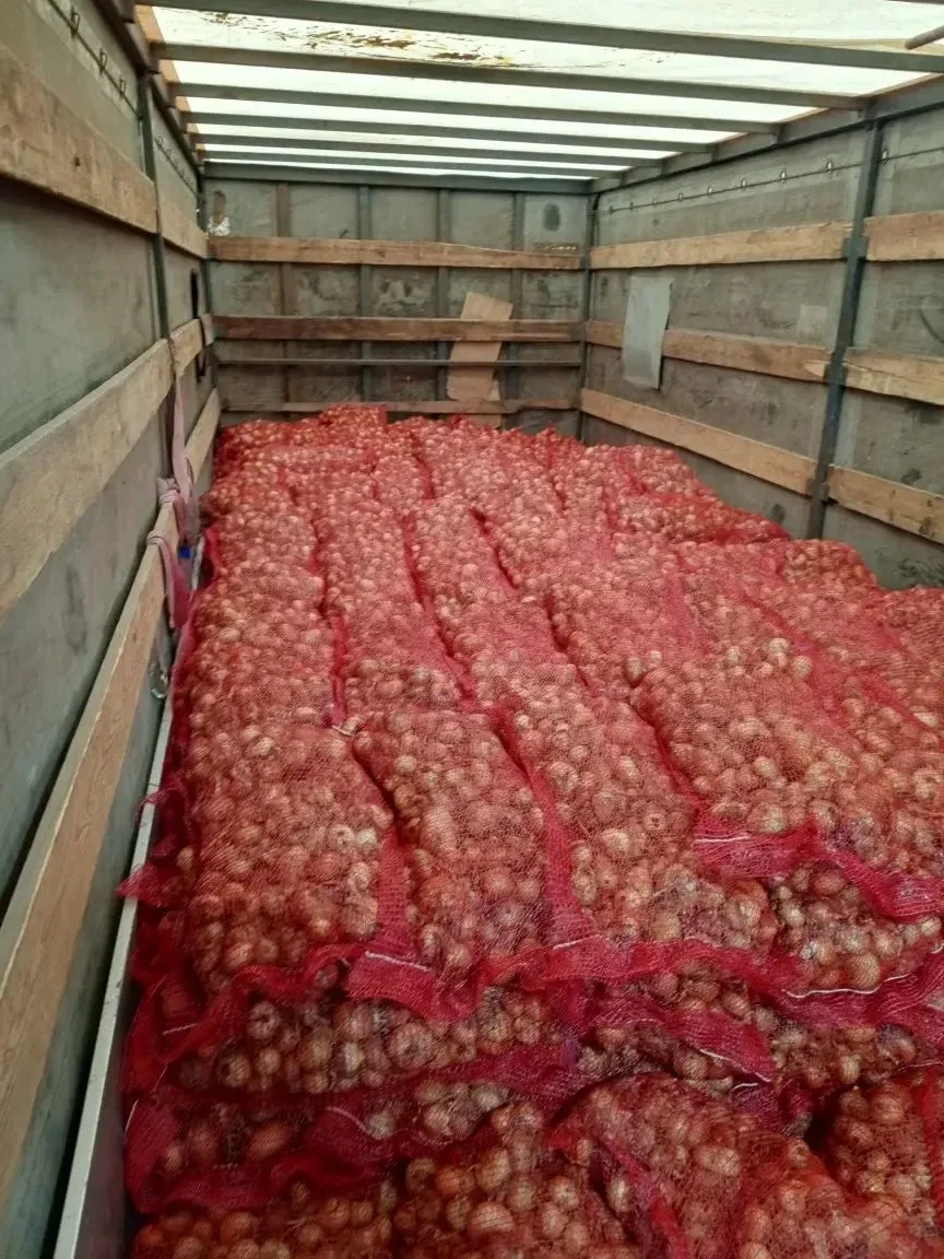 На этой неделе мы с Вами отгрузили 326 тонн 🧅дорогие друзья 🚛это будущие 150-200 тонн...