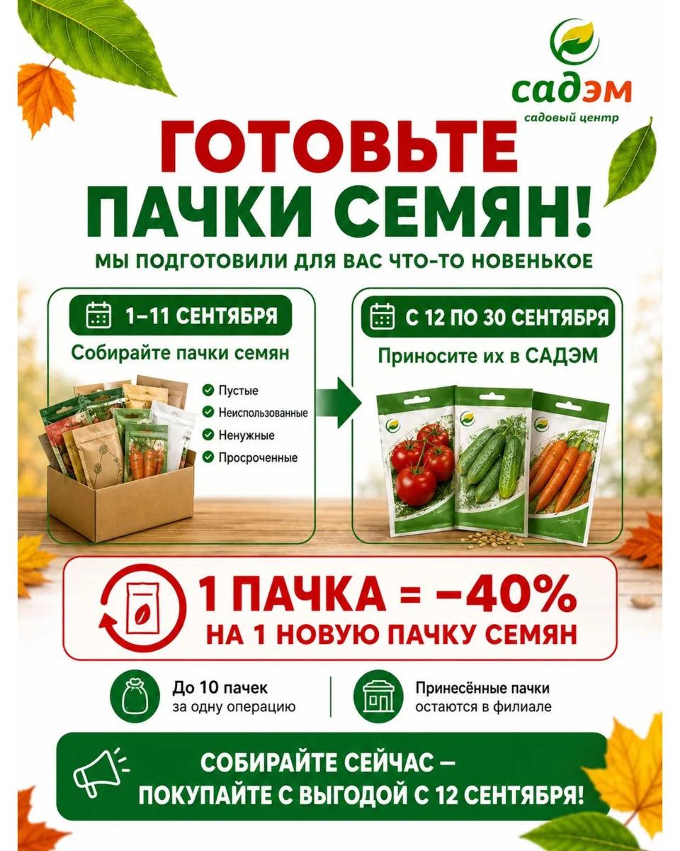 🤩 Вау, друзья! Посмотрите, что мы для вас подготовили!