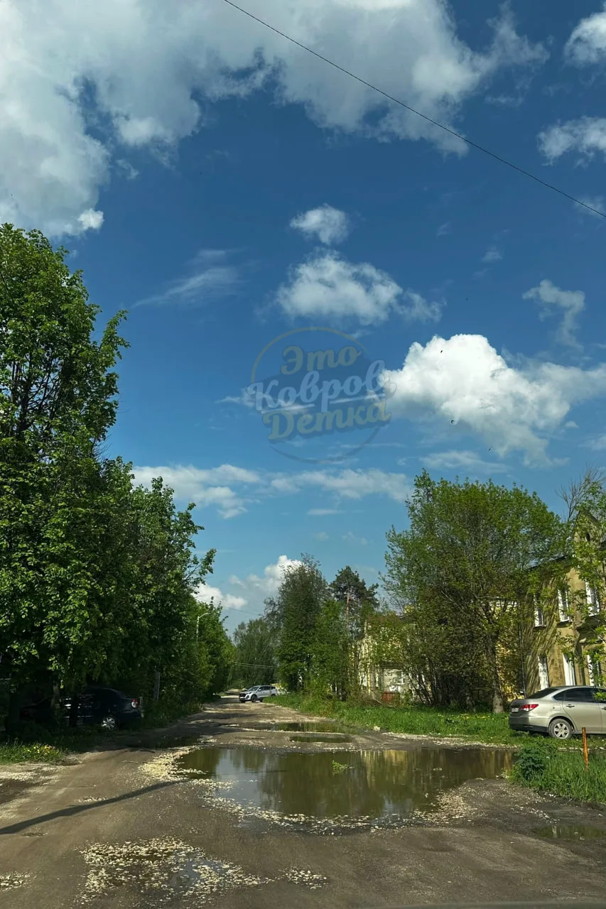 ❗️ Хочу обратить внимание на улицу Лесную!  Мы тоже живём в этом городе, и нам очень обидно видеть, 