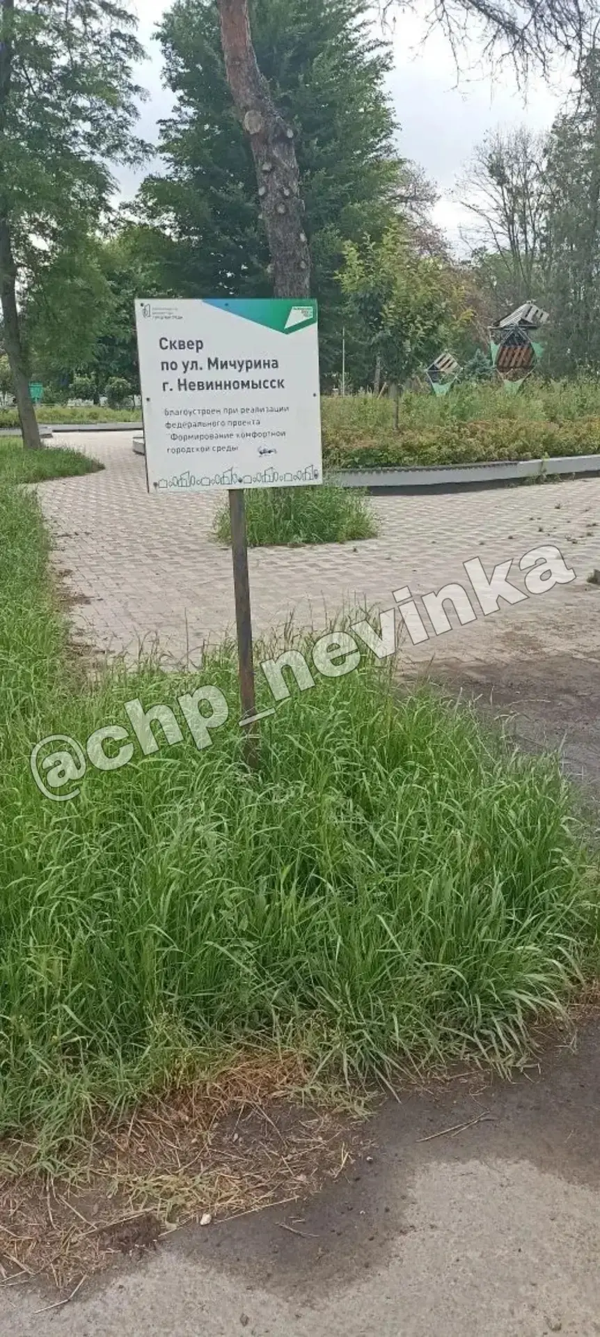 На клумбах бурьян по грудь. Трава по колено.