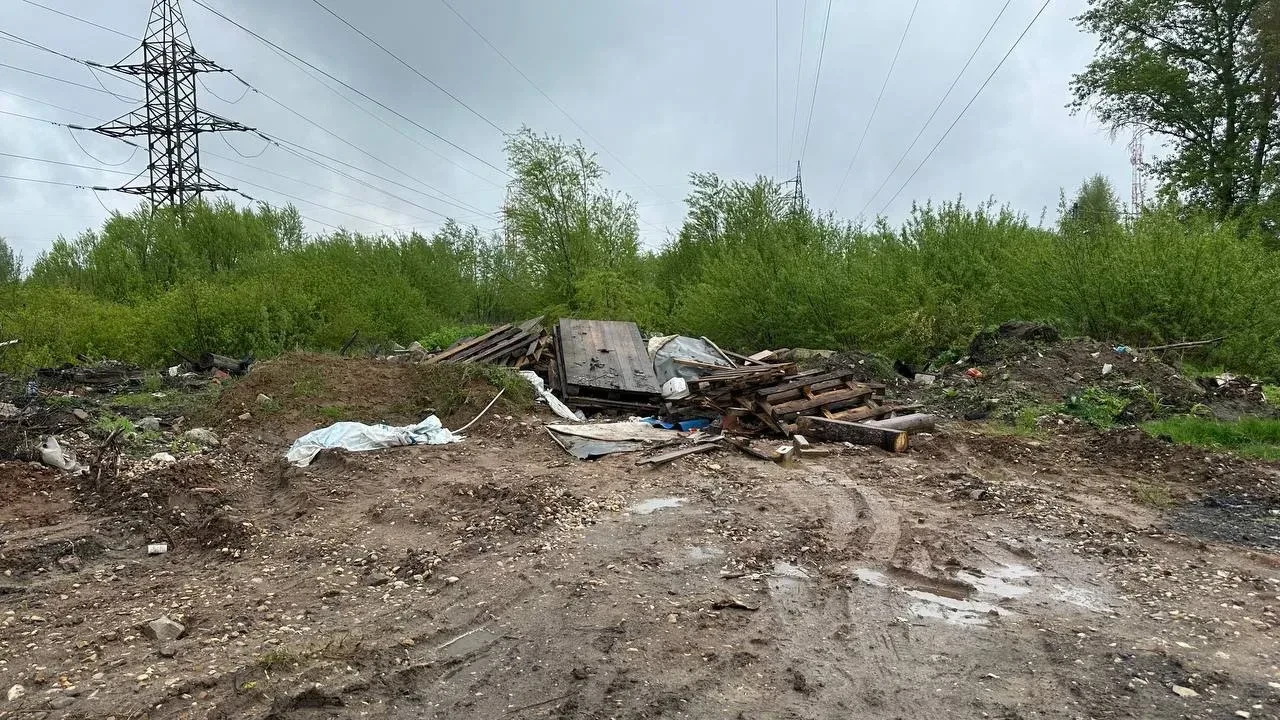 ⚖️ Суд обязал возместить ущерб за незаконную свалку в Рамешковском округе