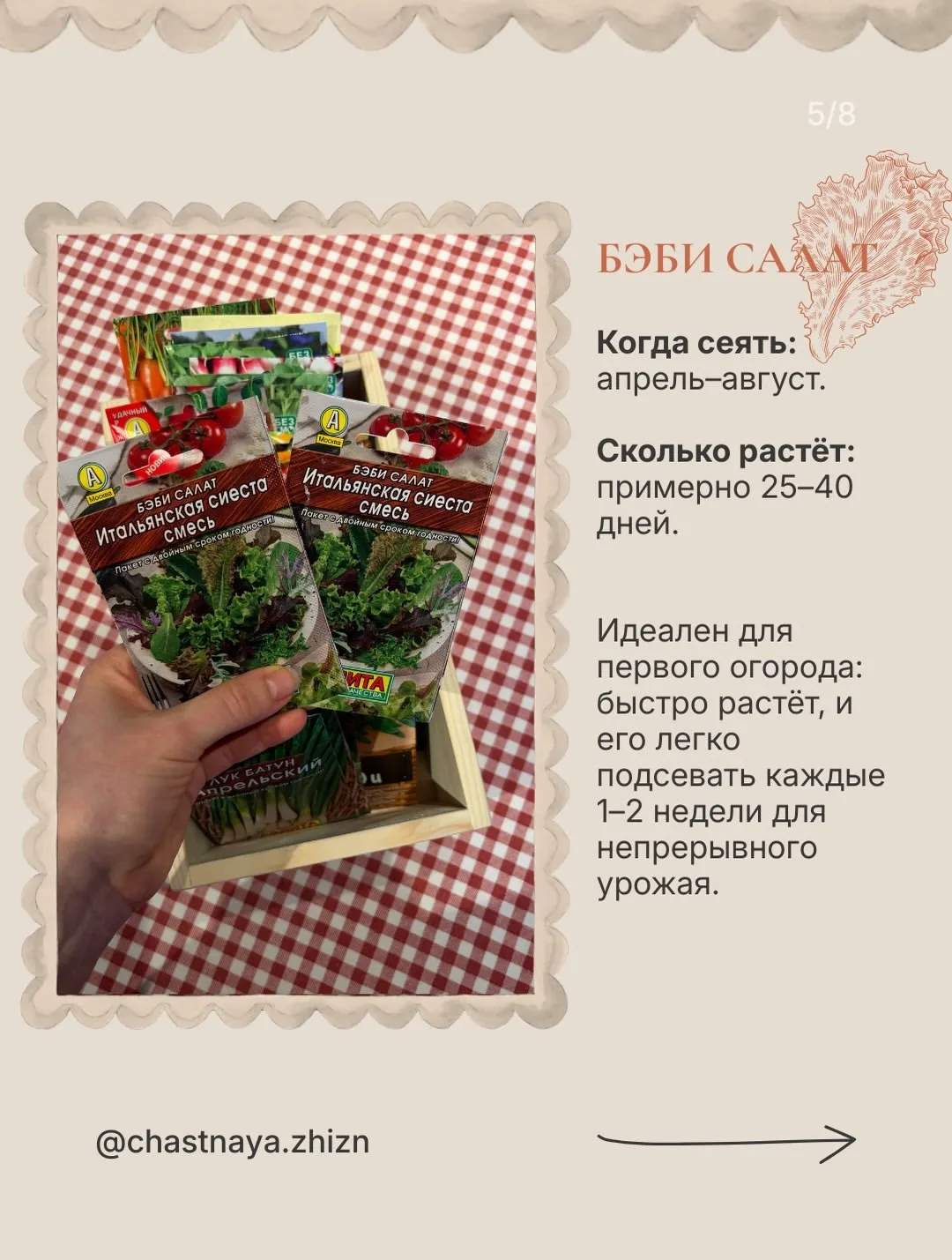 В первый год садоводства особенно хочется увидеть результат🌱   Я абсолютный любитель, но даже у меня