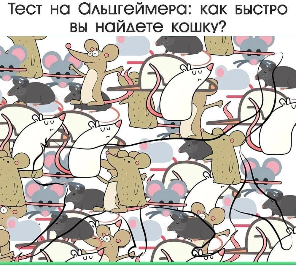 Тест на Альцгеймера: как быстро вы найдете кошку?  Чтобы узнать, есть ли у вас предрасположенность к