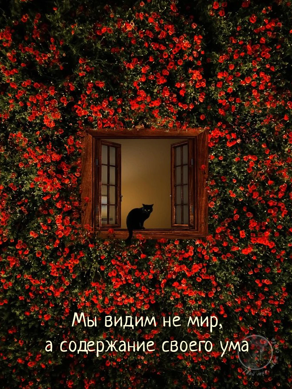 Твой мир, твои слова