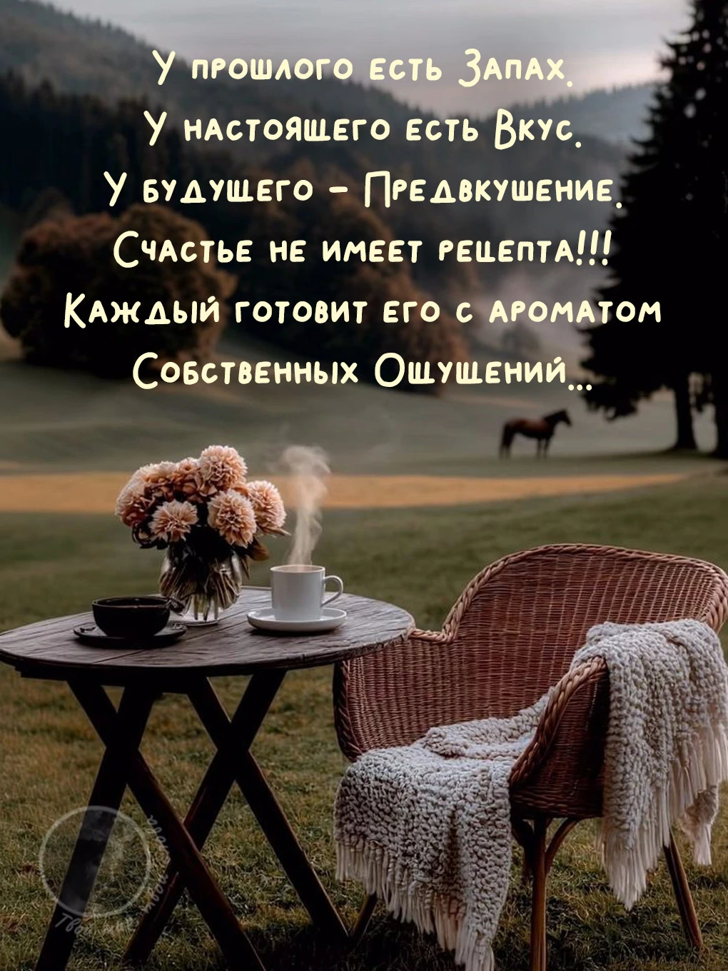 Твой мир, твои слова