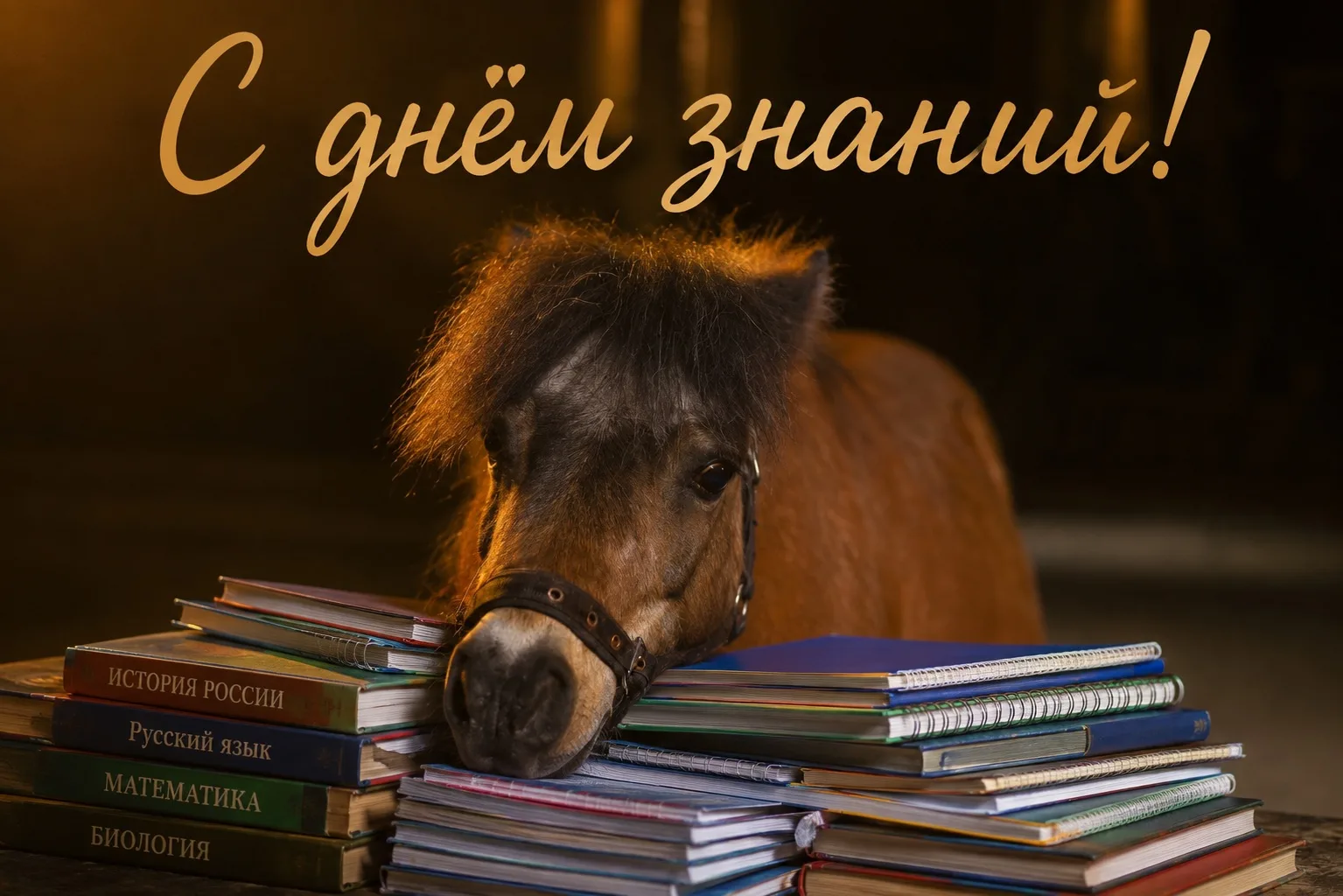 🍁📚 1 сентября - День знаний!