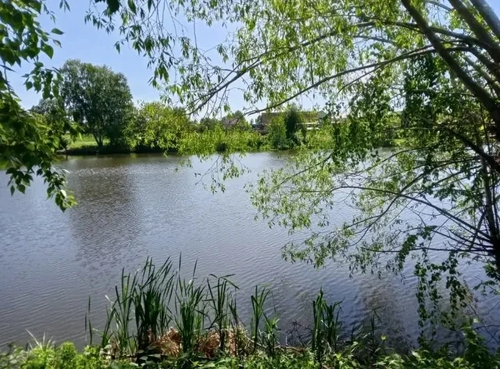 🌅 Доброе утро, друзья!🌿