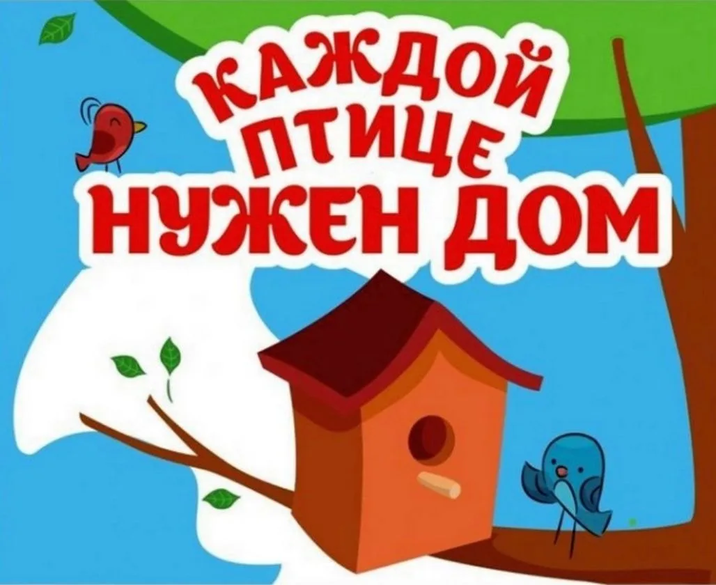 Акция «Домик для птички»: второй сезон открыт!Совет обучающихся сегодня посетил парк у ...