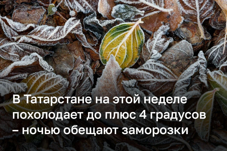В Татарстан на этой неделе придут заморозки. В среду температура воздуха ночью местами ...
