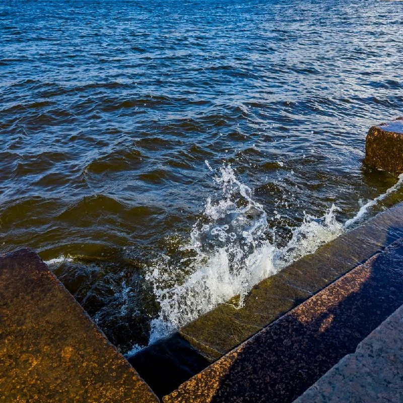 🌊 Нева поднялась выше метра из-за мощного ветра