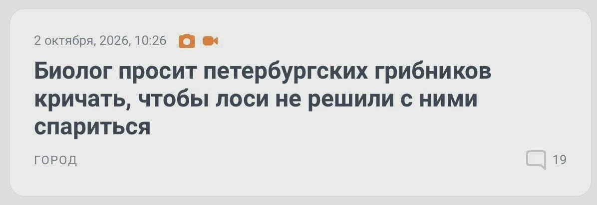 🦌 Грибникам в лесах Ленобласти советуют шуметь