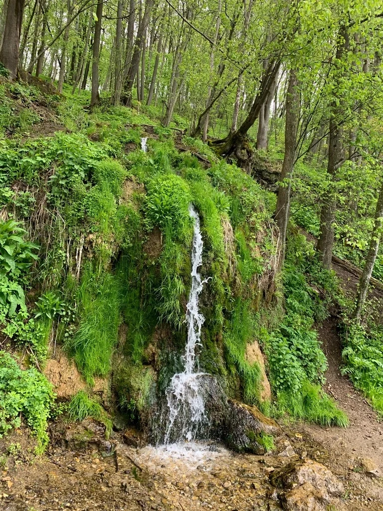 🌿 Водопад Радужный — один из самых красивых водопадов недалеко от Москвы

Многие уверены, что увиде