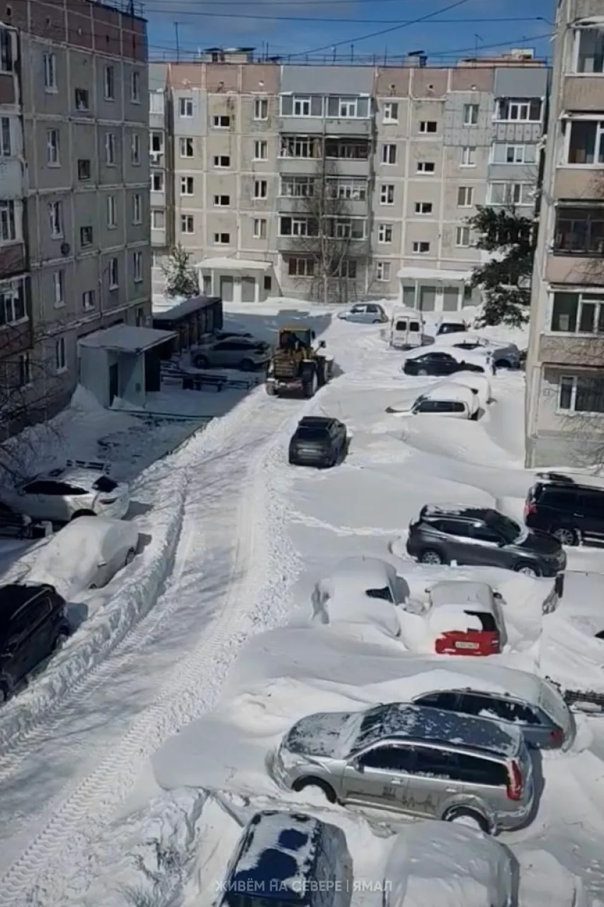 Ещё немного снежного контента ☃️  В этот раз добавим контрастности из Большого Приуралья, где солнце