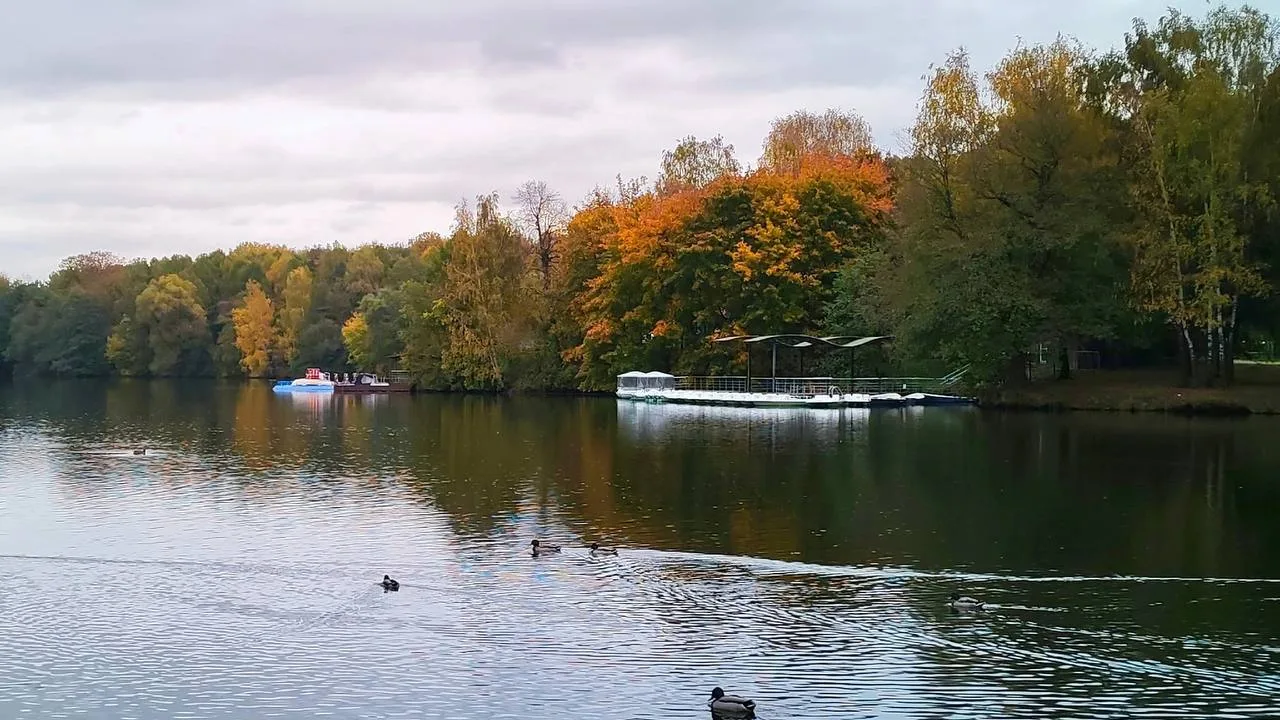 🍁 Осень раскрашивает парк Кузьминки в тёплые тона