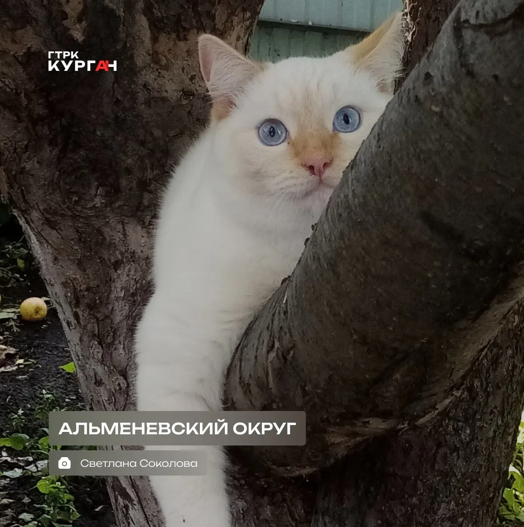🌤 Доброе утро, зауральцы! С началом новой недели!

Синоптики прогнозируют сегодня дождь и тепло. Те
