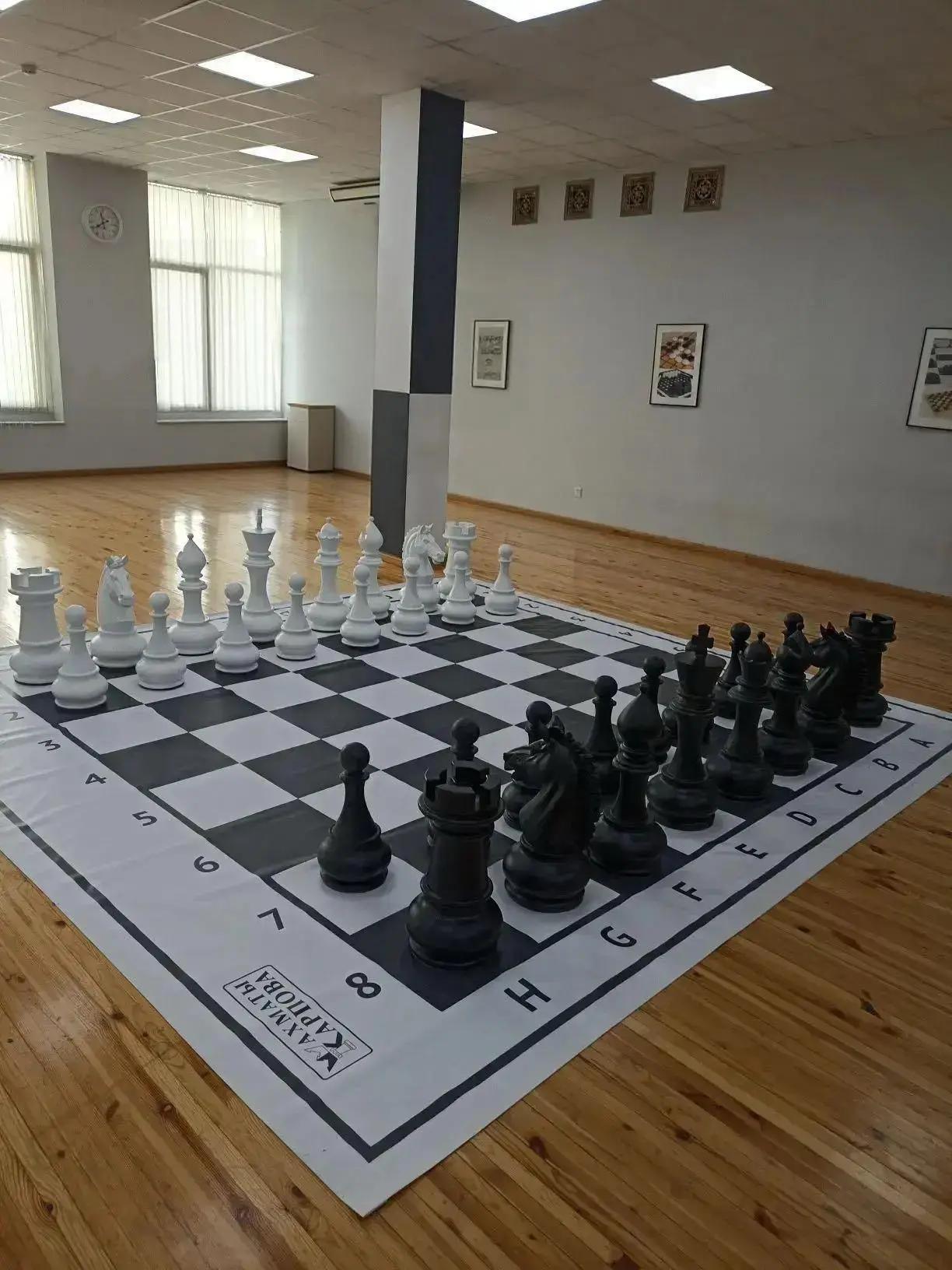 Друзья, а что вы знаете про игру в Чесбол? ✨
