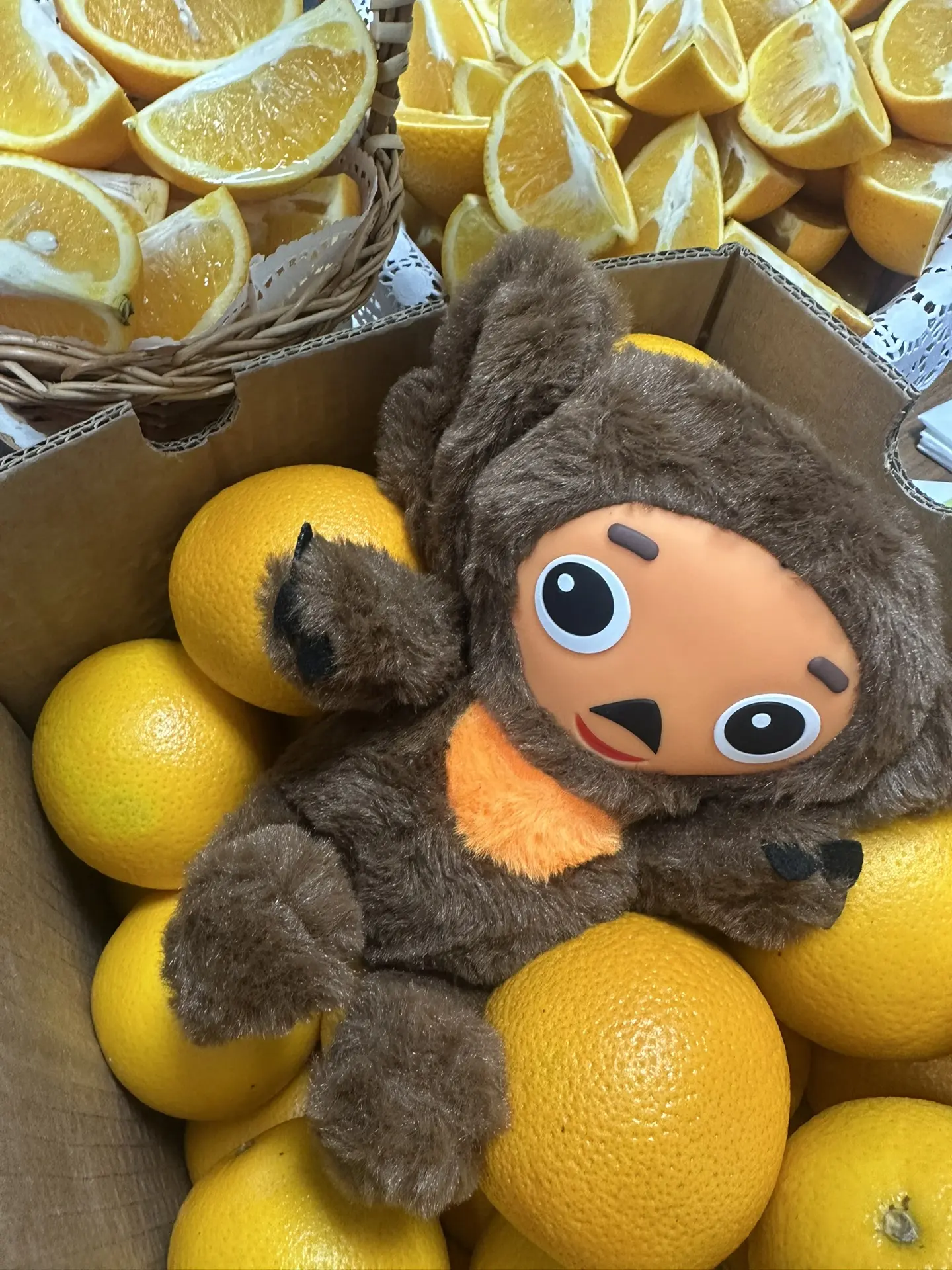 🍊Наш друг ждёт всех на «Ночь кино»!