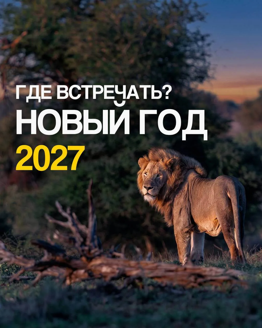 Новый год ближе, чем кажется…