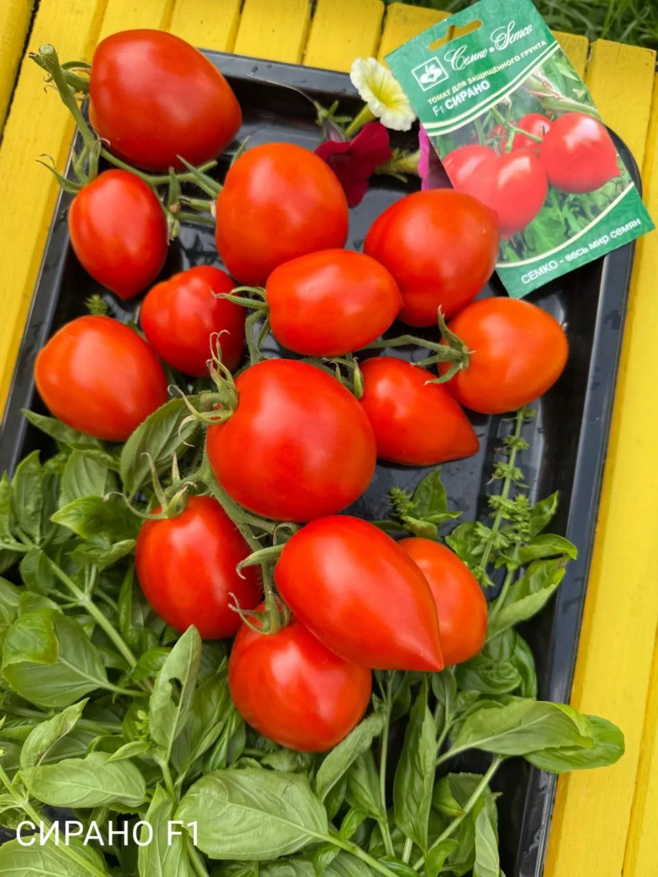 Топ-3 томатов как в детстве.  Друзья, а вы помните тот самый вкус томатов из детства? Когда срываешь