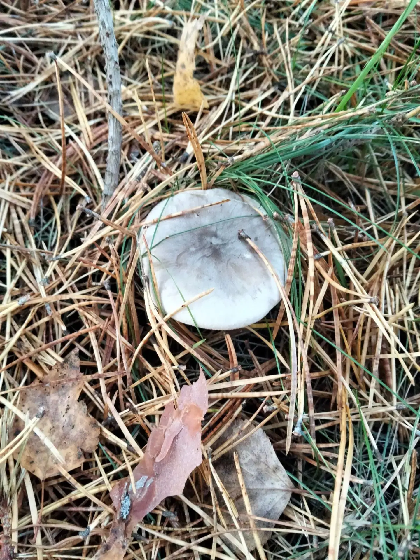 Доброе утро!