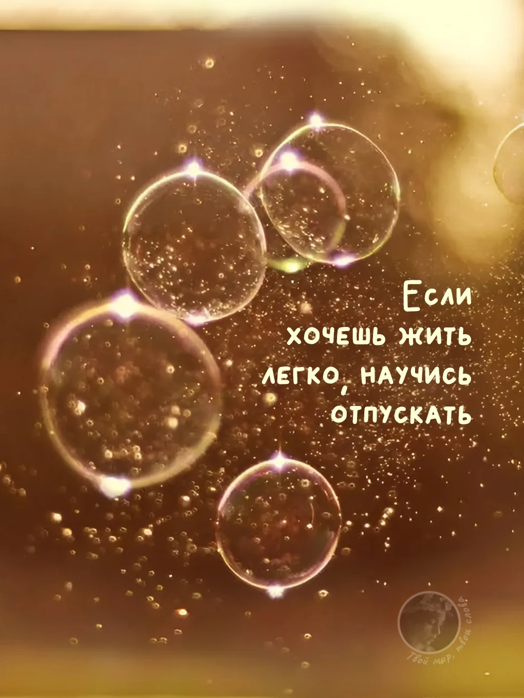 Твой мир, твои слова