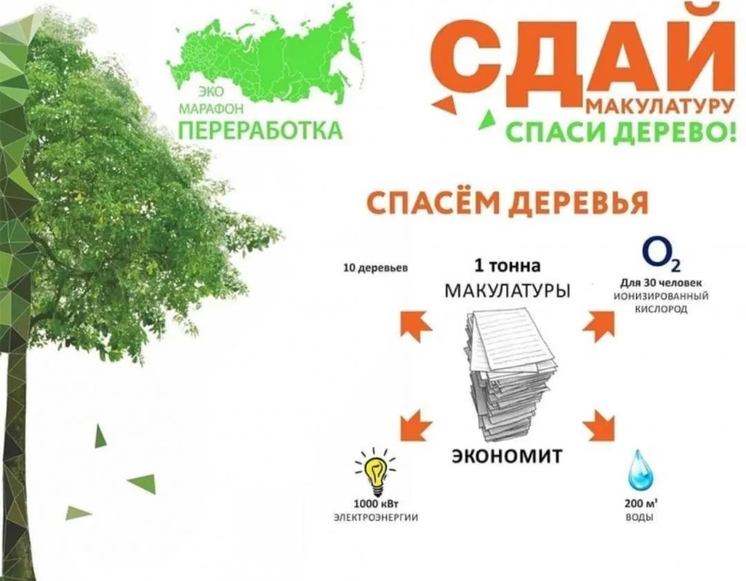 🌳 Сдай макулатуру – спаси дерево!