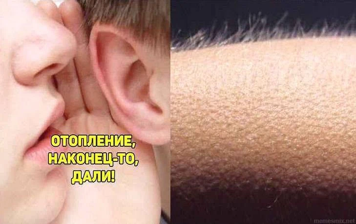 🦻 Слова, которые вызывают приятные мурашки: дали отопление)