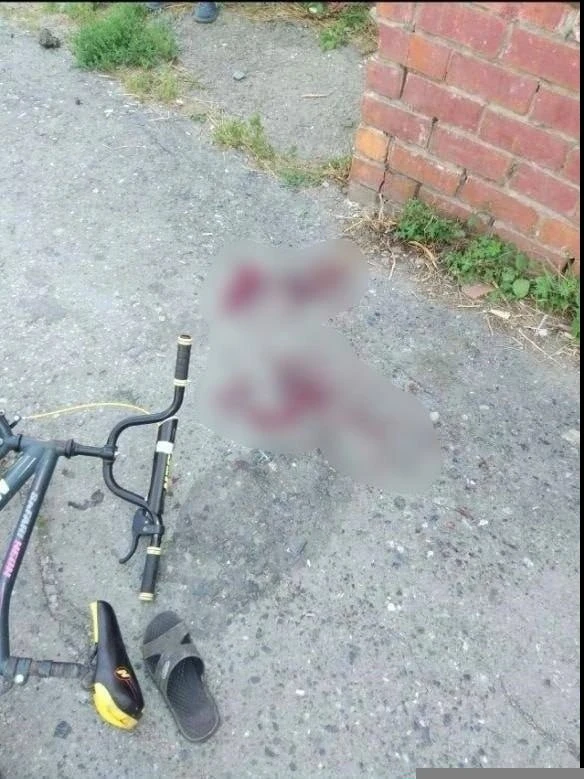 В Курганской области подростки сбросили кирпич на голову 9-летнему мальчику

В посёлке Новый Просвет