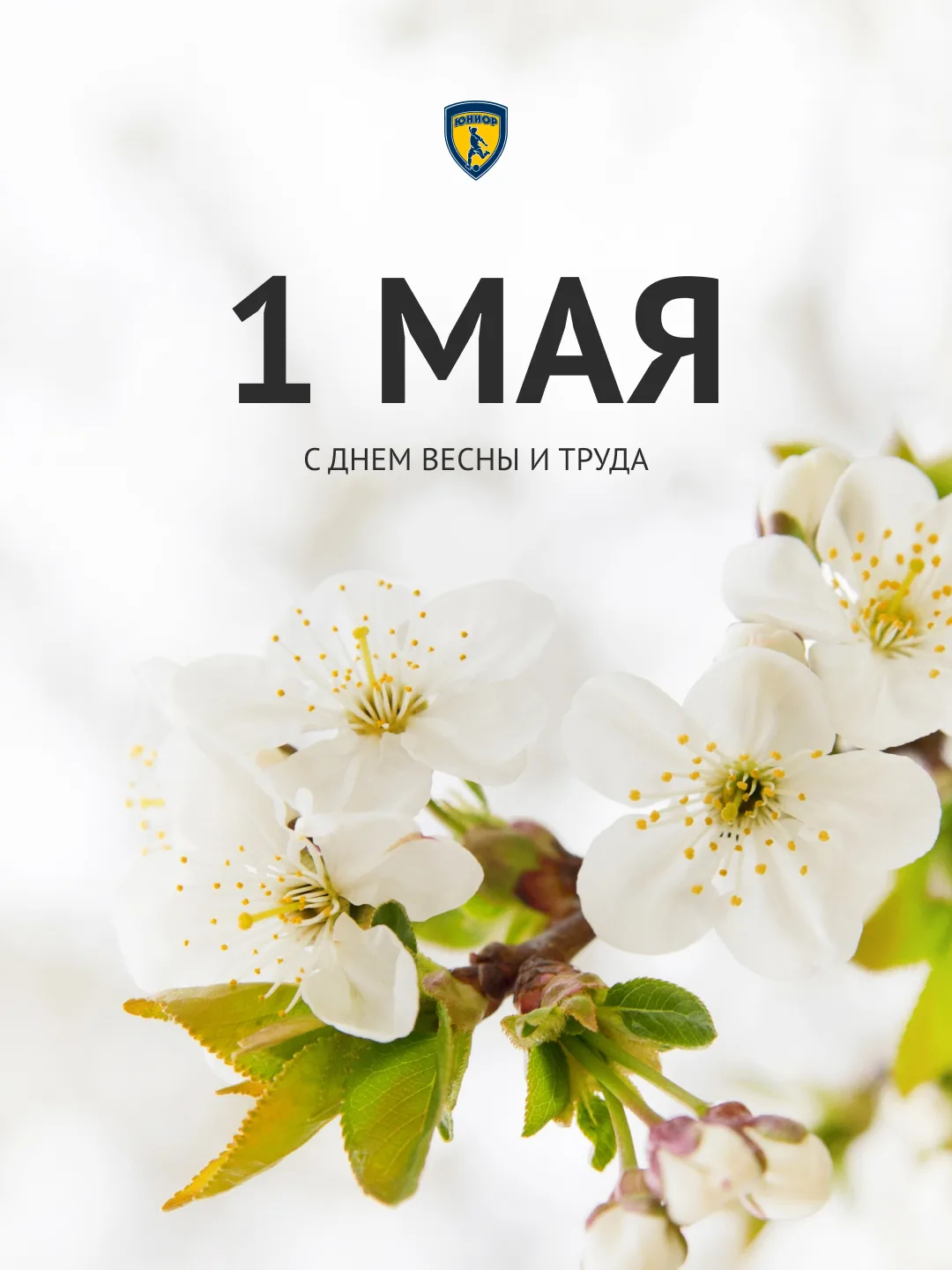 1 мая – день, в котором соединяются тепло весны и уважение к труду.