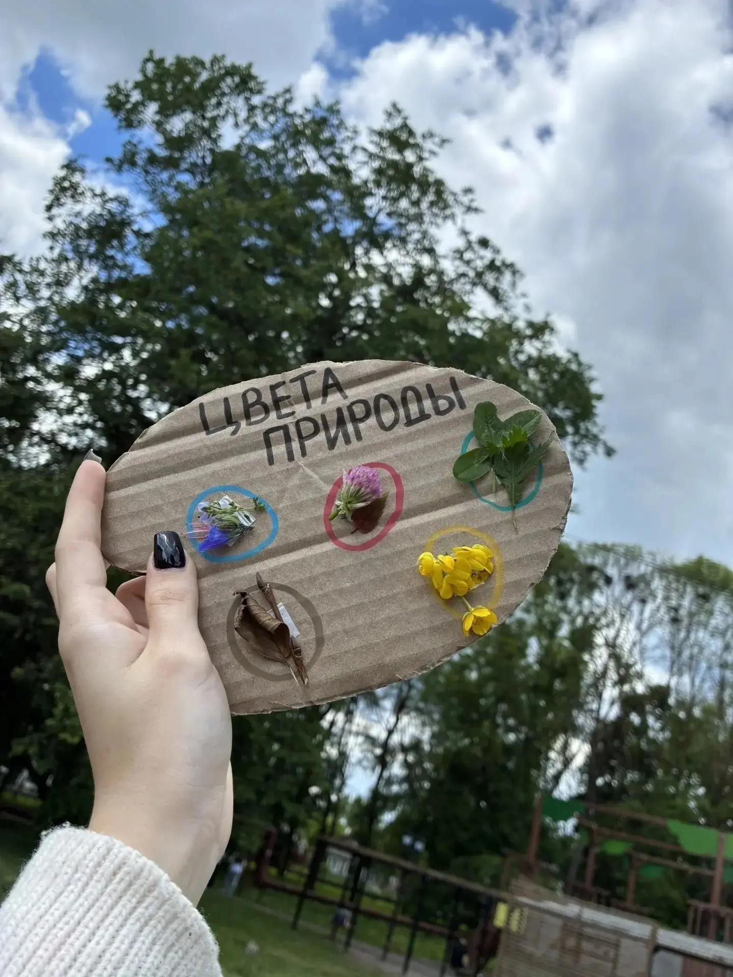 🌿 СЕДЬМОЙ ДЕНЬ ЛАГЕРЯ — ДЕНЬ ЭКОЛОГИИ