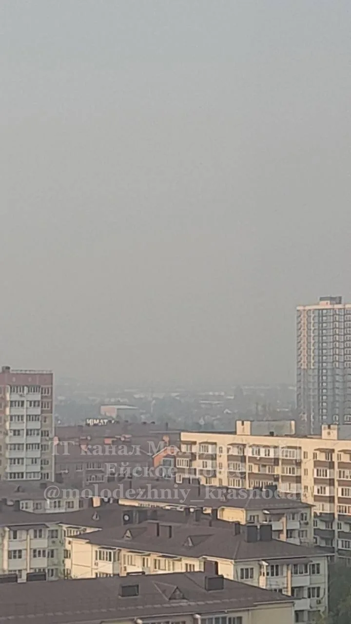 От подписчицы