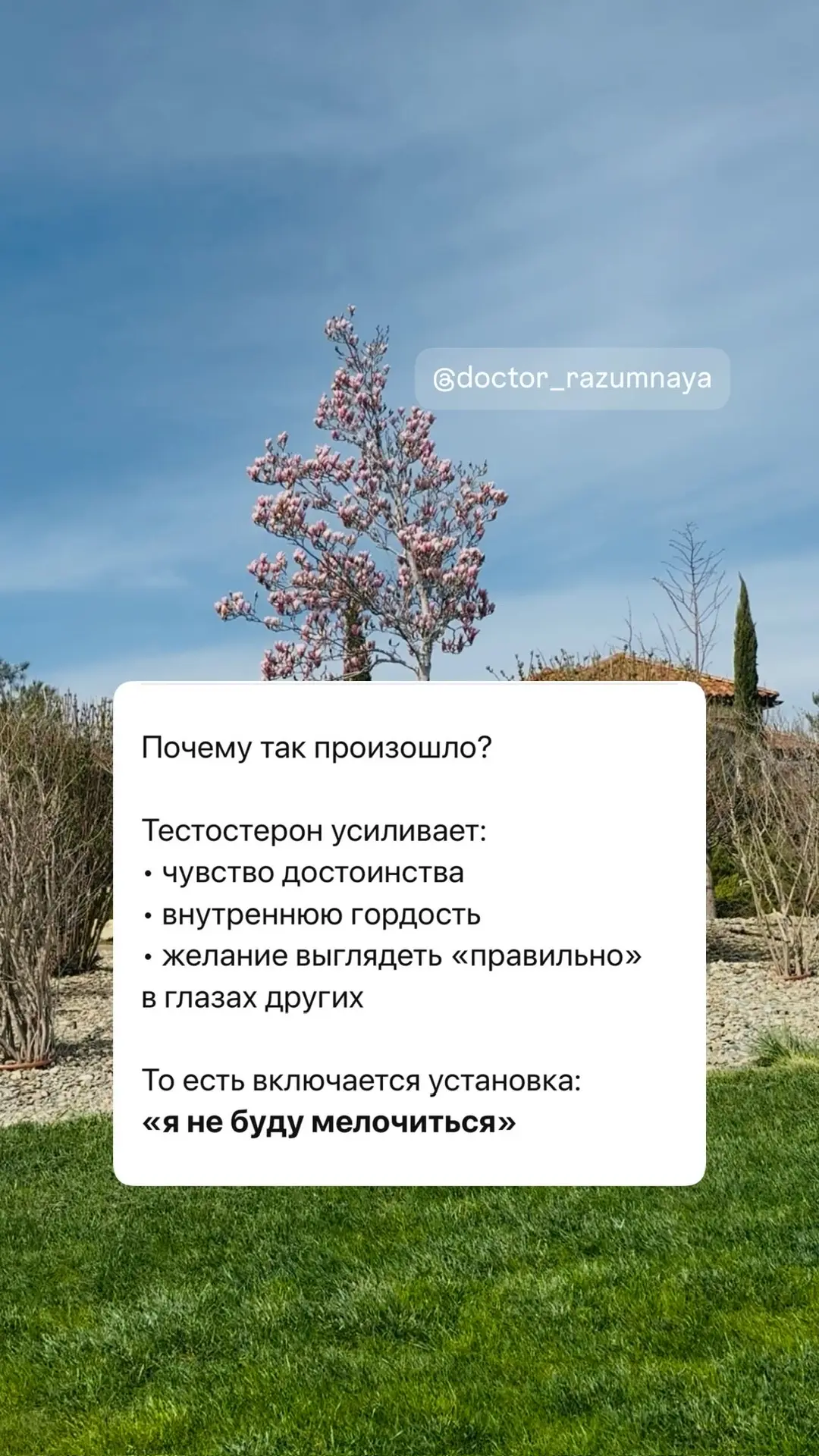 😎тестостероновые мужчины врут реже …  Тест + Методичка «Тестостерон» для женщин 👉👉https://taplink.cc