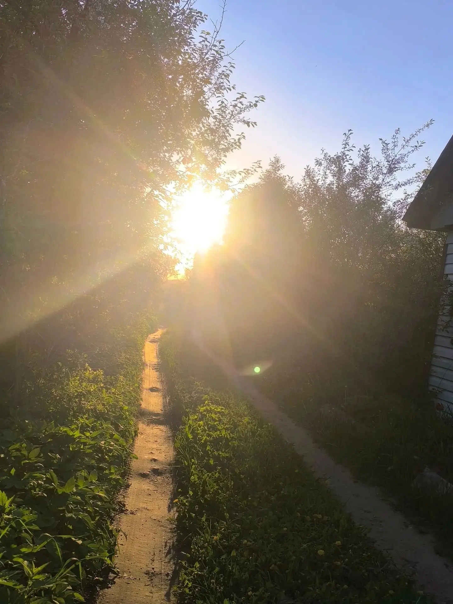 🌞 Лето глазами наших активистов! 🌟 Ребята нашей школы активно делятся яркими впечатлениями и незаб