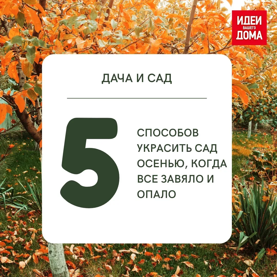Вносим в поблекший сад яркие краски с помощью растений, декора и освещения.