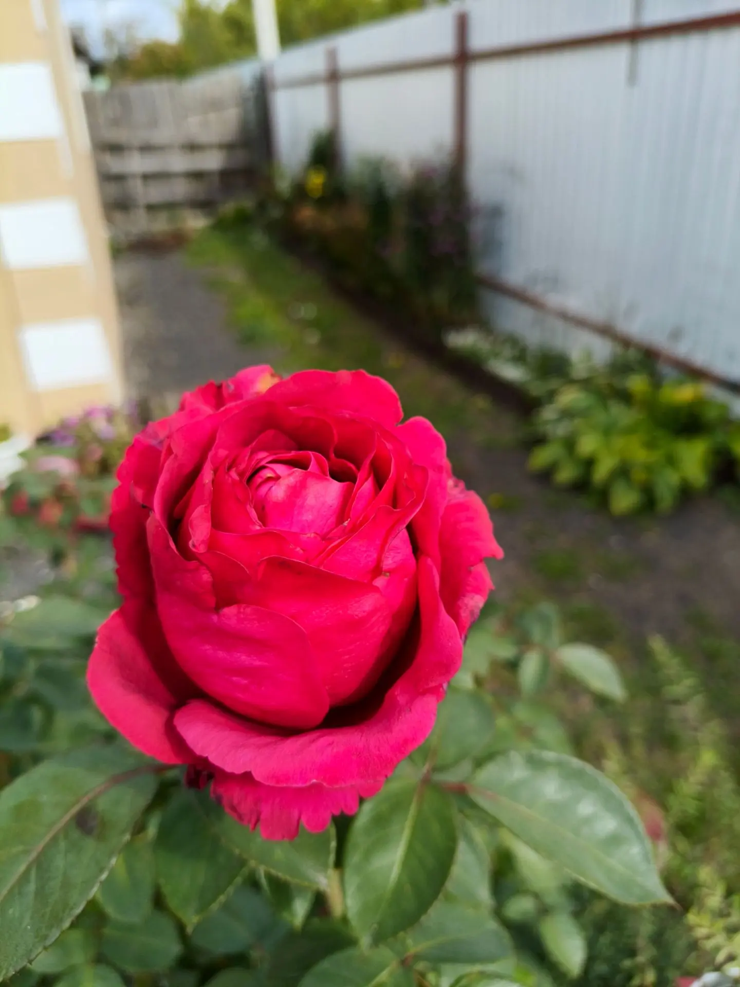 Фото