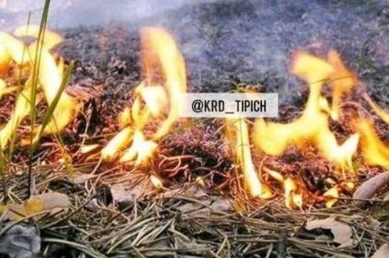 Краснодарцев предупреждают: в городе два дня будет высокая пожароопасность!