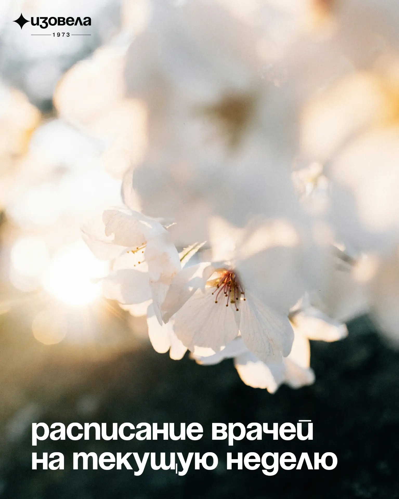 ✨ Открыта запись на приём к врачам медицинского центра и приглашённым специалистам на э...